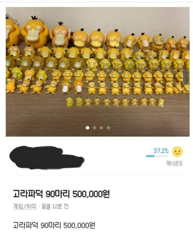 고라파덕 90마리가 당근에 올라온 이유.jpg