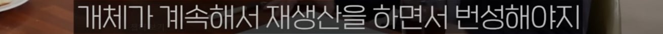 공룡은 왜 문명을 안 만들었을까?