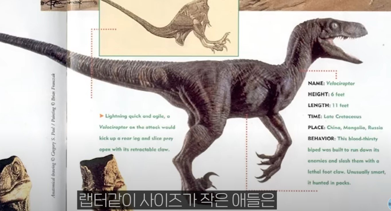 공룡은 왜 문명을 안 만들었을까?