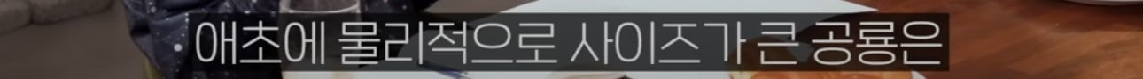 공룡은 왜 문명을 안 만들었을까?