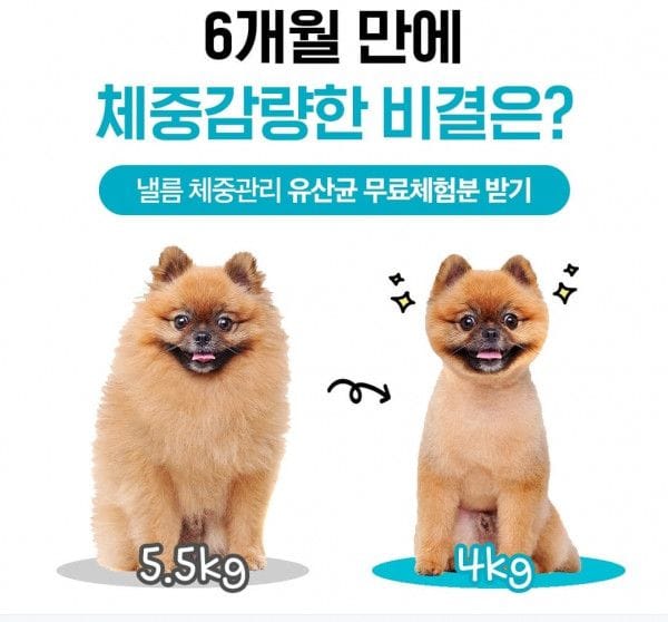 속기쉬운 허위광고