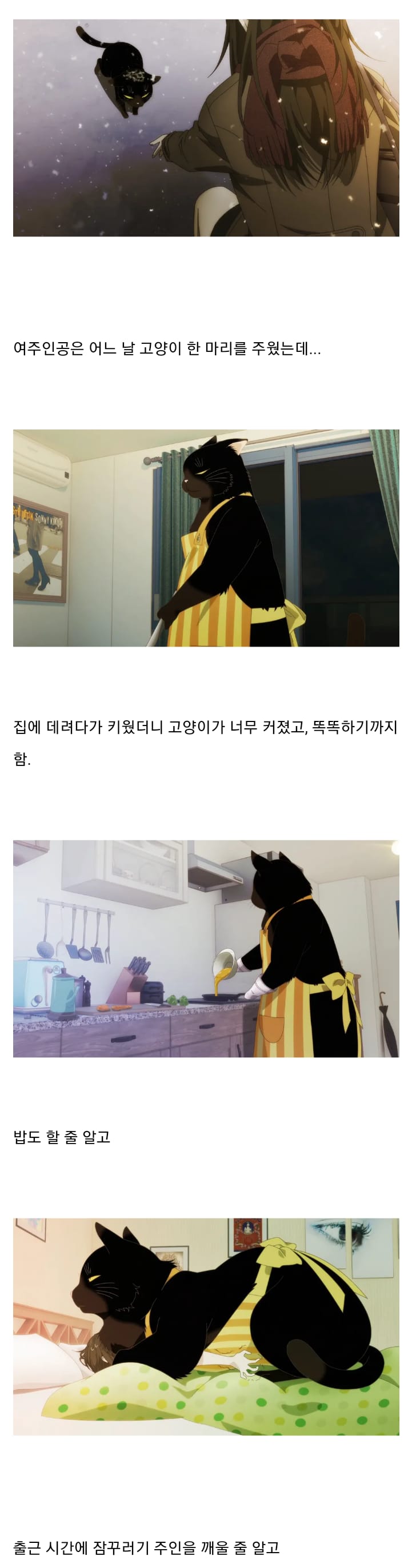 일본 애니에 나온 캣맘 ㄷㄷ