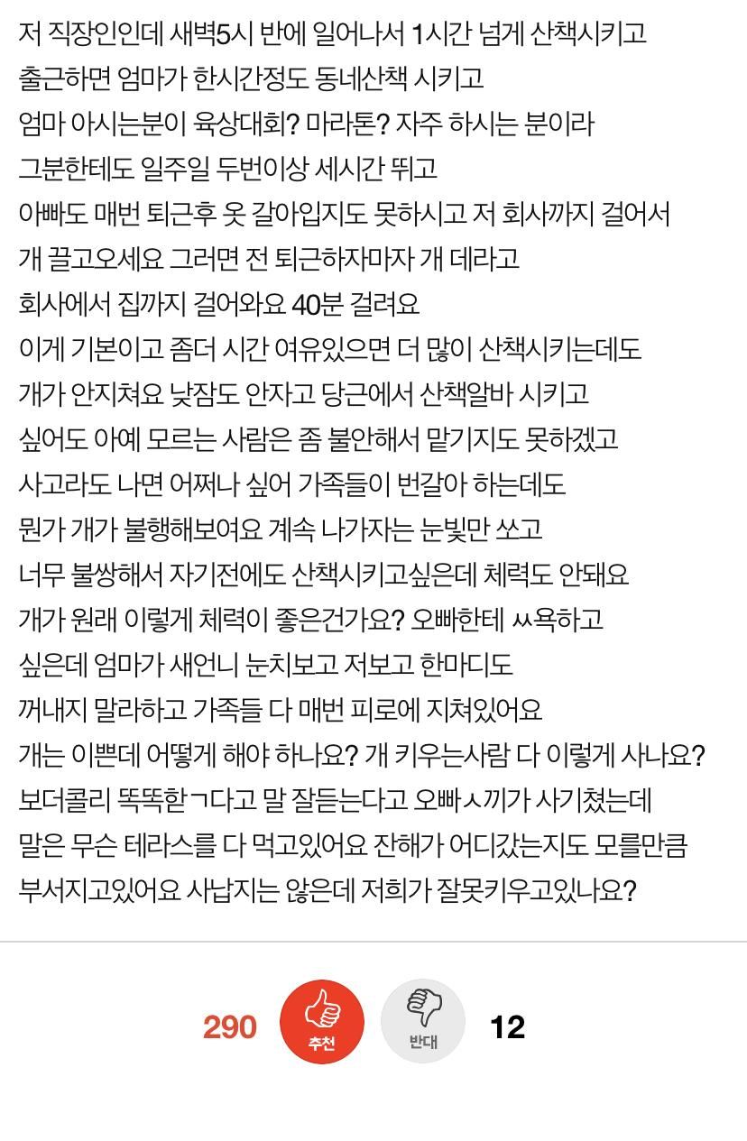 개는 도대체 산책을 얼마나 시켜야하나요ㅡㅡ 미치겠어요