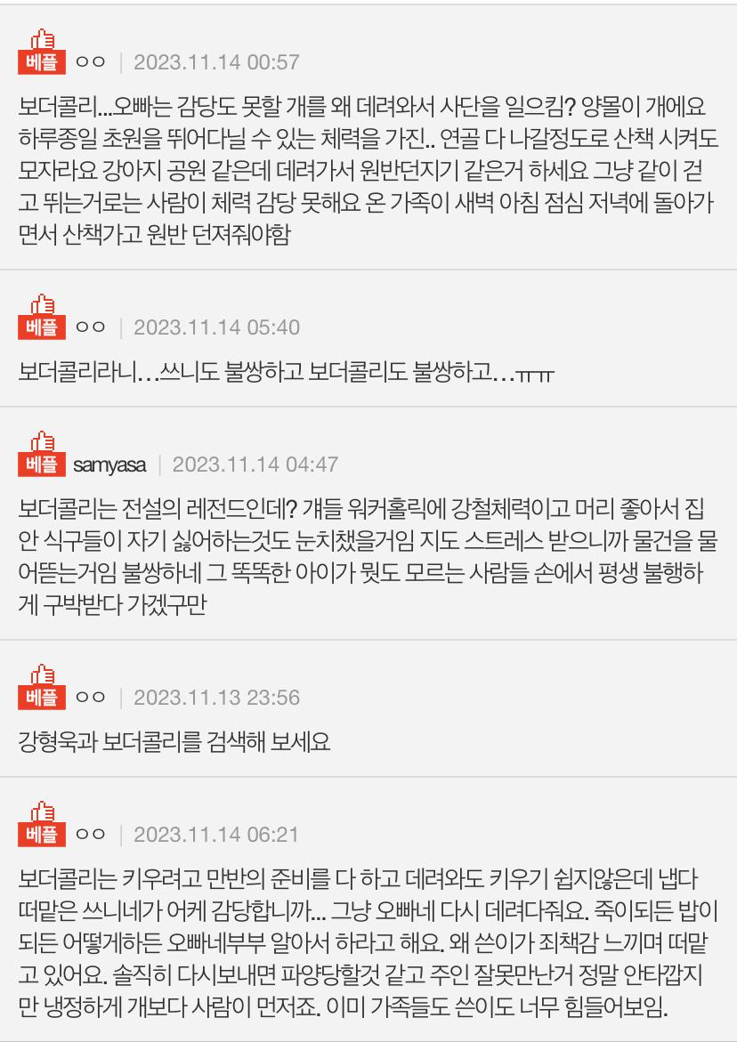 개는 도대체 산책을 얼마나 시켜야하나요ㅡㅡ 미치겠어요