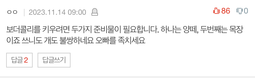 개는 도대체 산책을 얼마나 시켜야하나요ㅡㅡ 미치겠어요