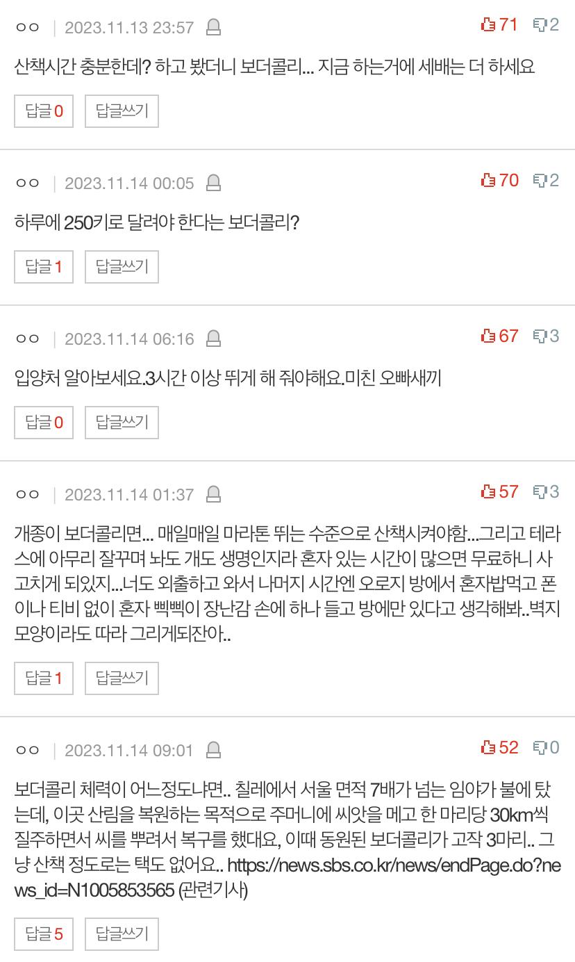 개는 도대체 산책을 얼마나 시켜야하나요ㅡㅡ 미치겠어요