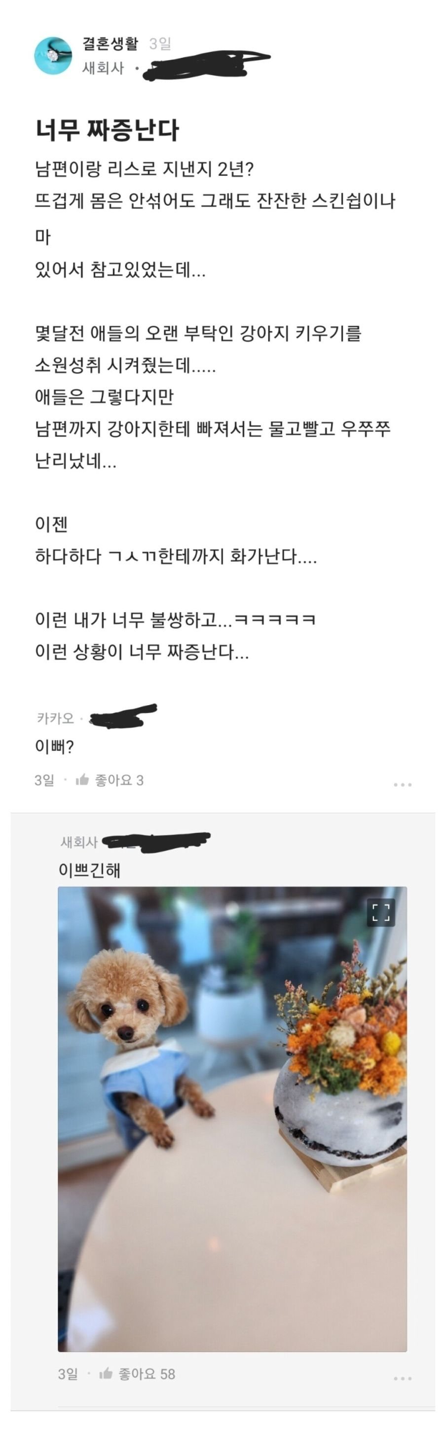 남편이  강아지한테 빠져서 짜증남.jpg