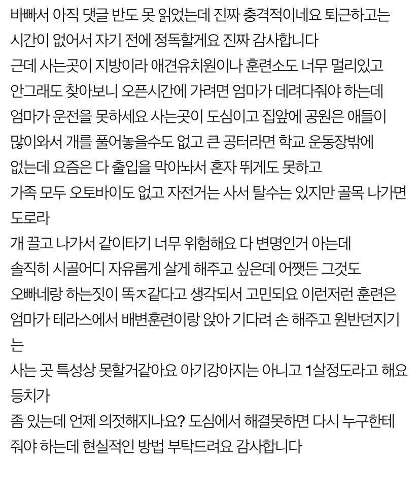 개는 도대체 산책을 얼마나 시켜야하나요ㅡㅡ 미치겠어요