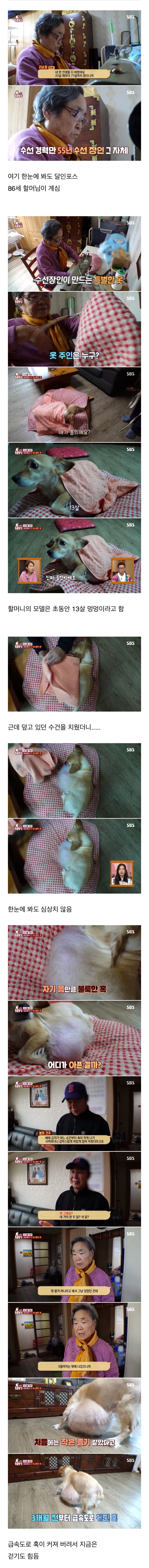 결국 80대 할머님을 울게 만든 동물농장 제작진들..jpg