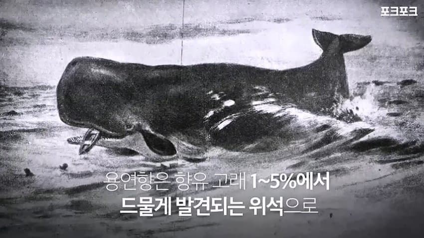 바다의 로또.jpg