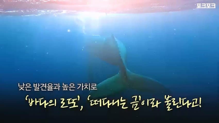 바다의 로또.jpg