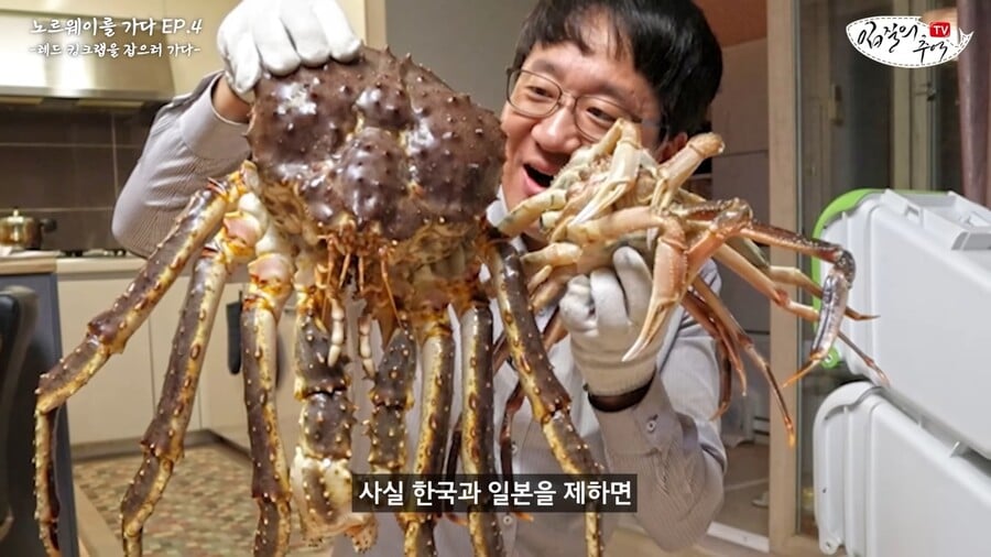 킹크렙 몸통 안먹고 다 버리는 맛알못 노르웨이