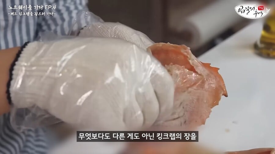 킹크렙 몸통 안먹고 다 버리는 맛알못 노르웨이