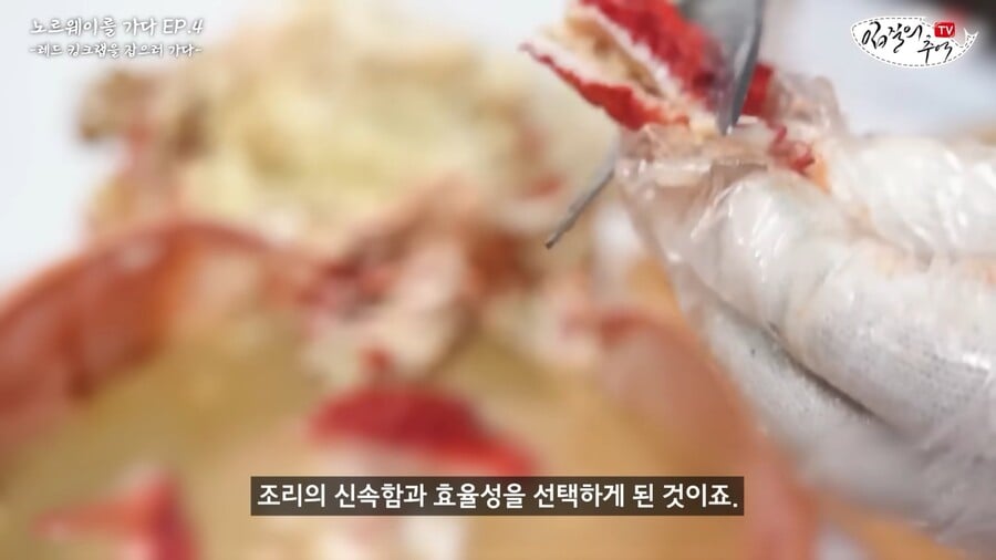 킹크렙 몸통 안먹고 다 버리는 맛알못 노르웨이