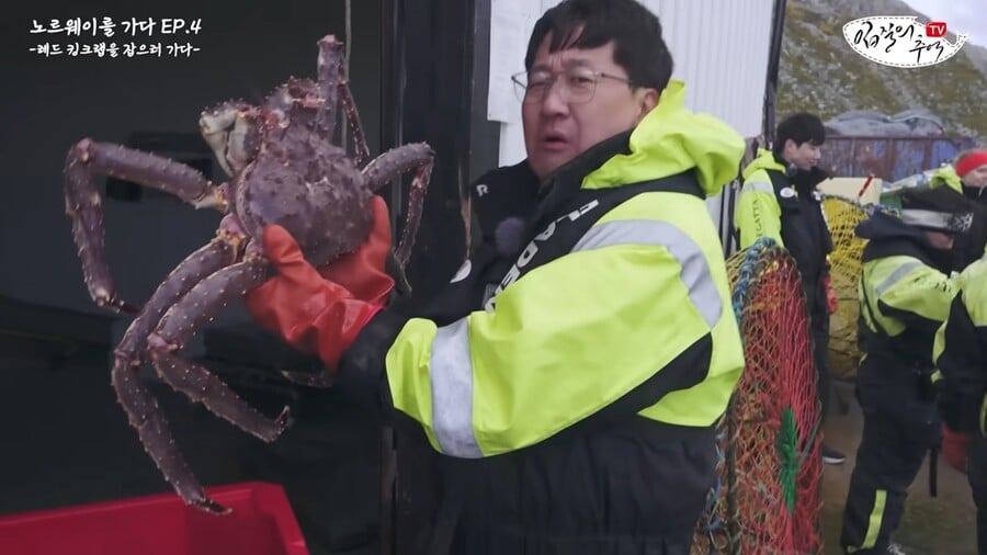 킹크렙 몸통 안먹고 다 버리는 맛알못 노르웨이