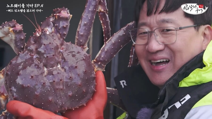 킹크렙 몸통 안먹고 다 버리는 맛알못 노르웨이