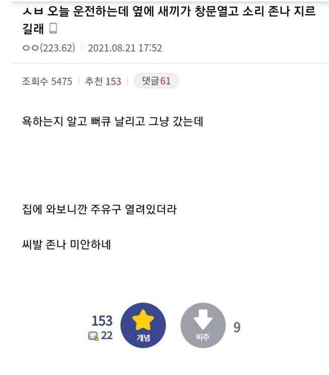 옆차한테 뻐큐 날린 디씨인.jpg