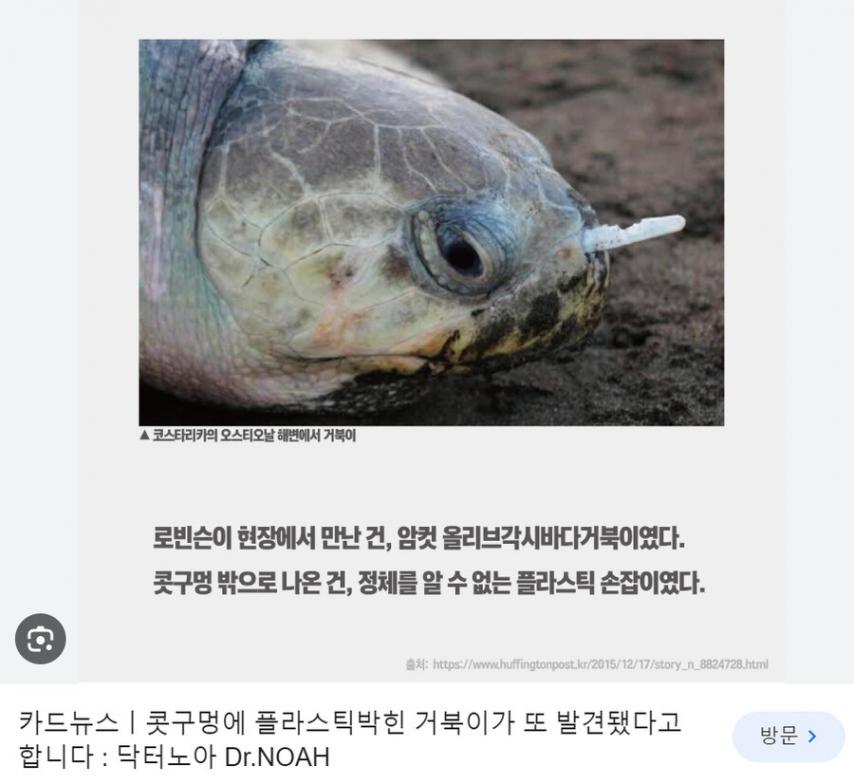 전세계 종이빨대 보급 공로자 1위