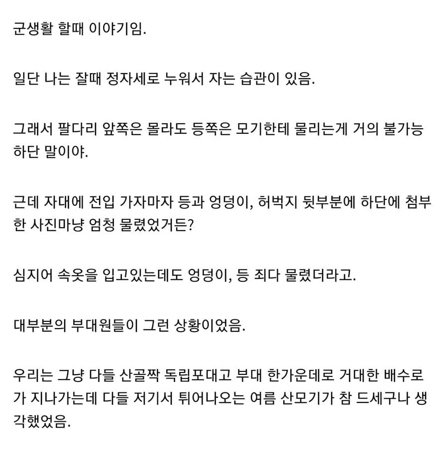 한국에서 빈대를 박멸하는 방법