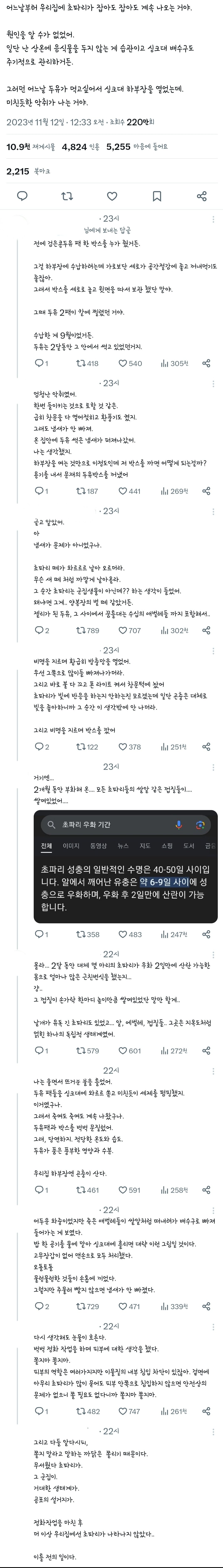 집안에 초파리 소굴을 만드는 방법
