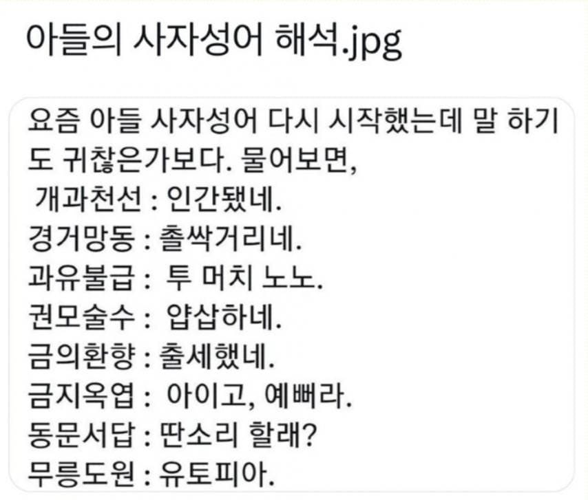 아들의 사자성어 해석