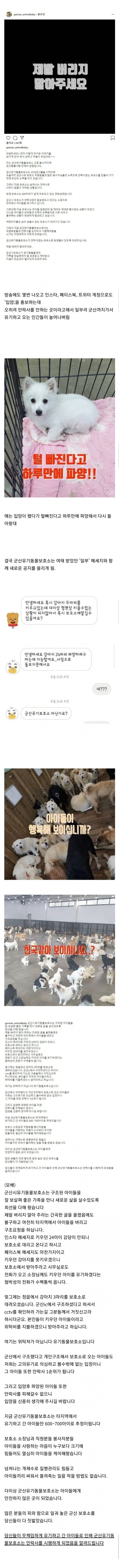 안락사 안한다는 동물보호소 근황