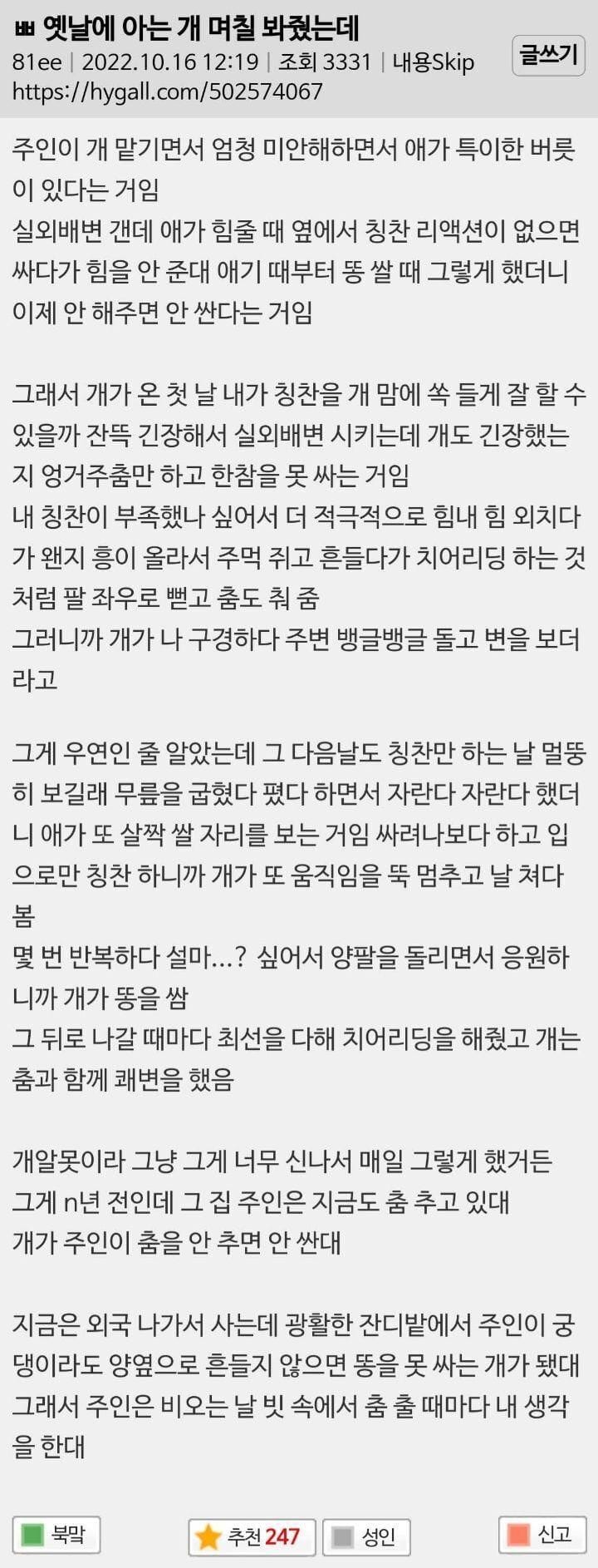 옛날에 아는 개 며칠 봐줬는데