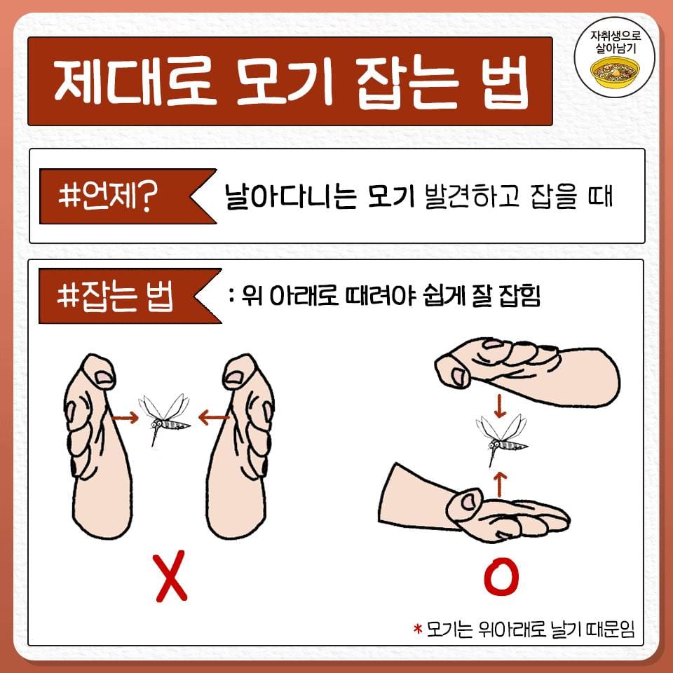 의외... 모기잡을때 손바닥 위치.jpg