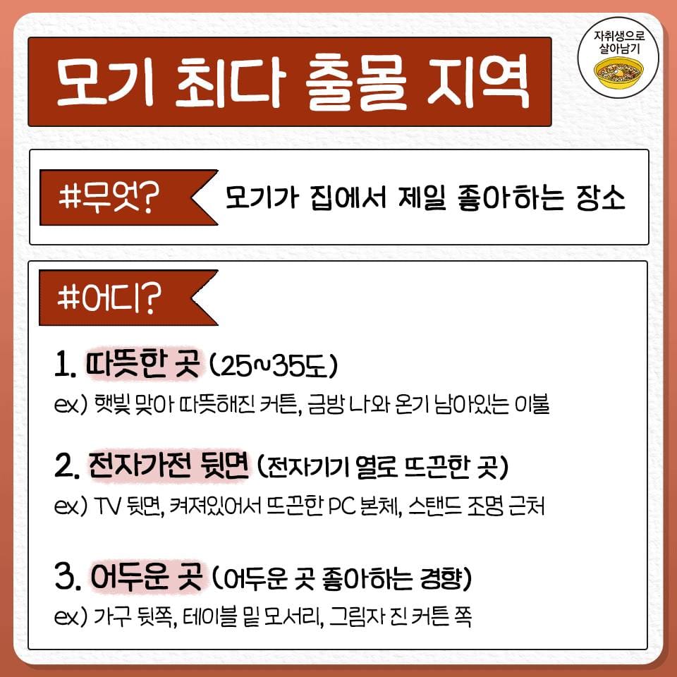 의외... 모기잡을때 손바닥 위치.jpg
