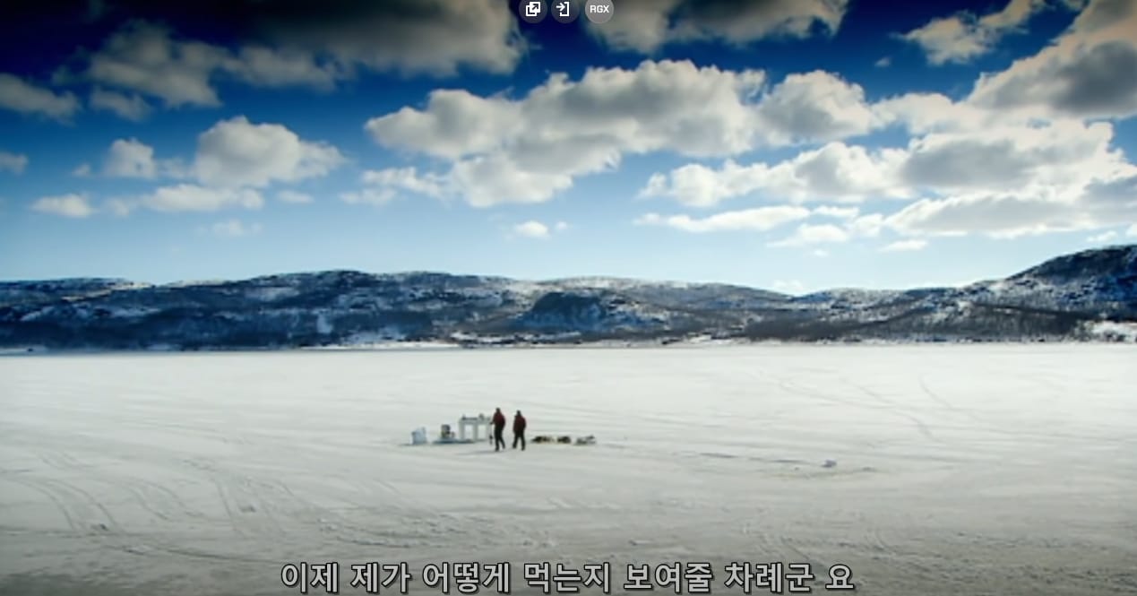 고든램지의 킹크랩 요리.jpg