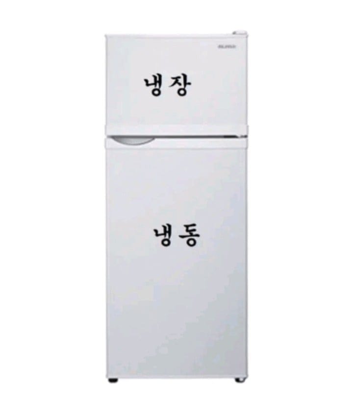 자취생에게 적합한 냉장고 구조.jpg