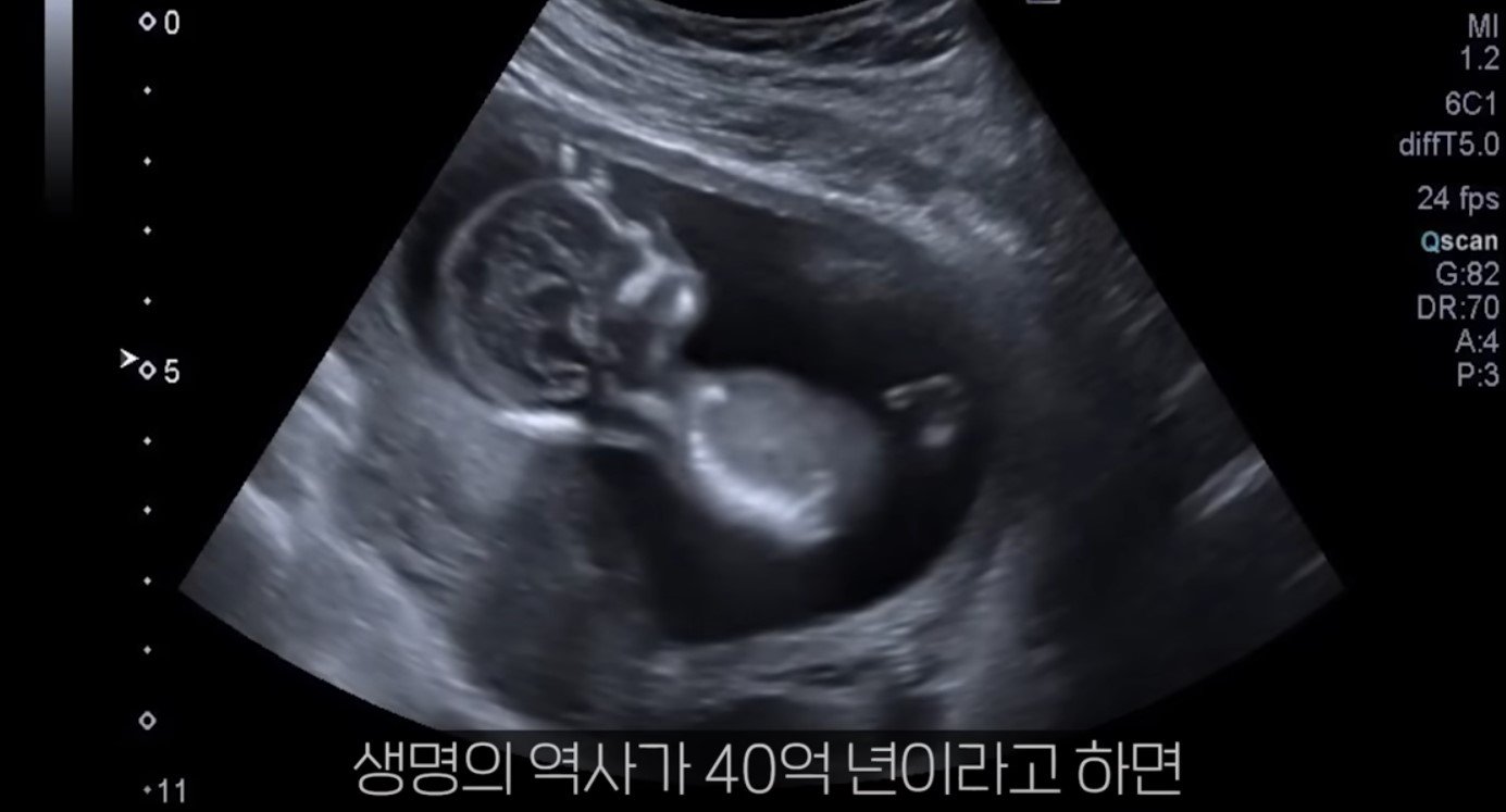 공룡은 왜 문명을 안 만들었을까?