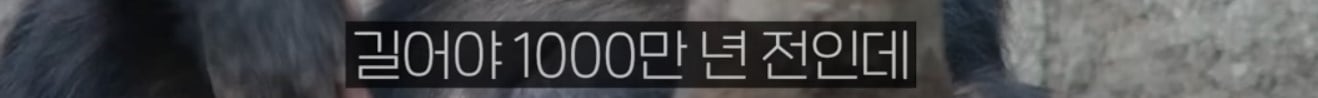 공룡은 왜 문명을 안 만들었을까?