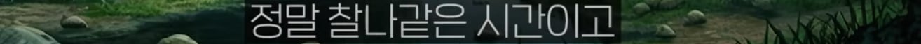 공룡은 왜 문명을 안 만들었을까?