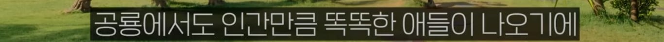 공룡은 왜 문명을 안 만들었을까?