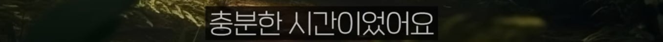 공룡은 왜 문명을 안 만들었을까?