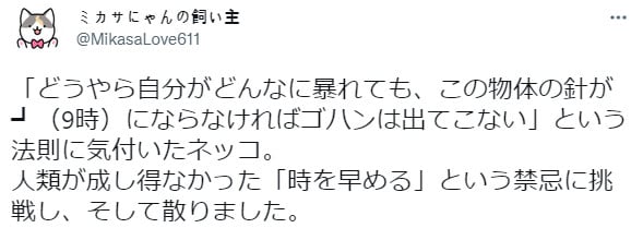 9시가 되면 밥이 나온다는 걸 깨달은 고양이