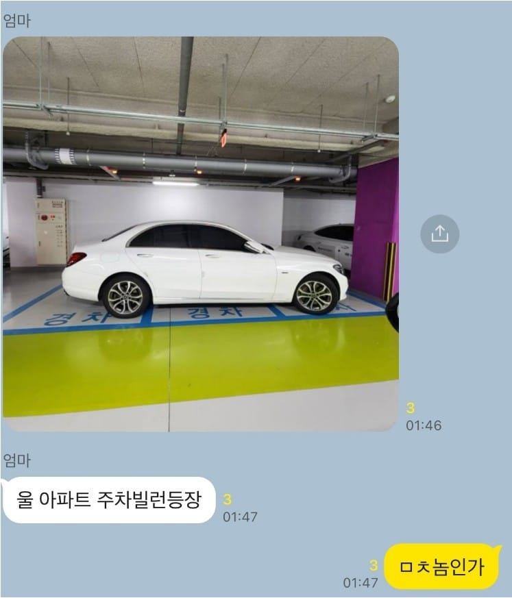 울 아파트 주차빌런 등장