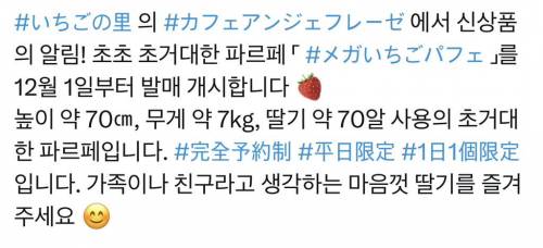 일본 모 카페에서 판매하는 초거대딸기파르페