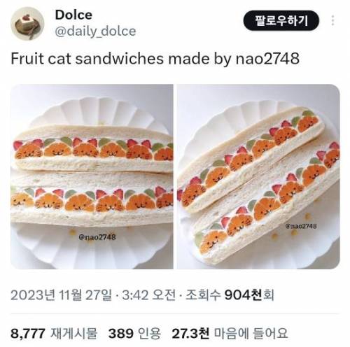 과일 고양이 샌드위치.jpg