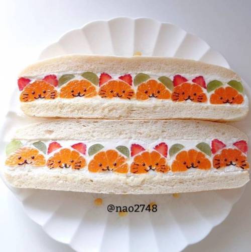 과일 고양이 샌드위치.jpg
