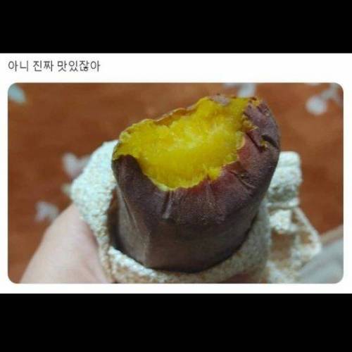 겨울용 손가방 .jpg