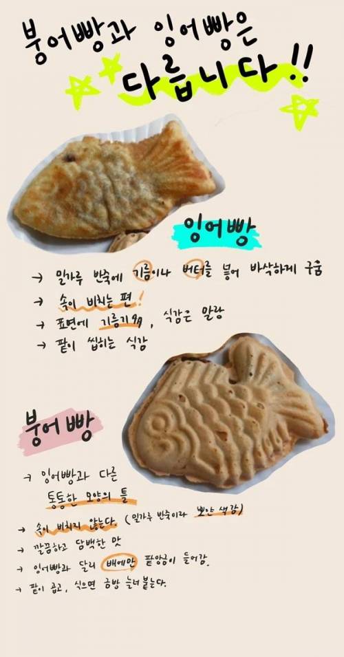 잉어빵vs붕어빵