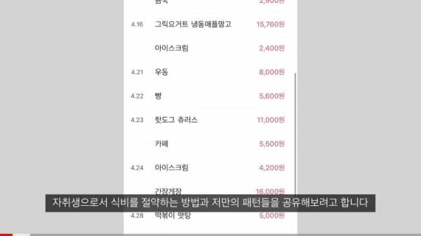 자취생 누나가 알려주는 한달 20만원대로 식비 아끼는 방법.j