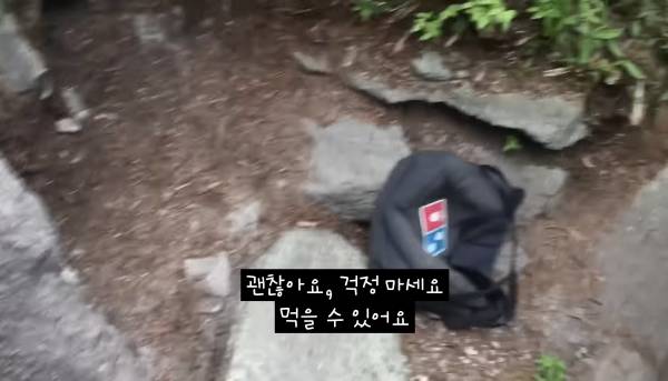 극한직업 미국 도미노 배달원 브이로그