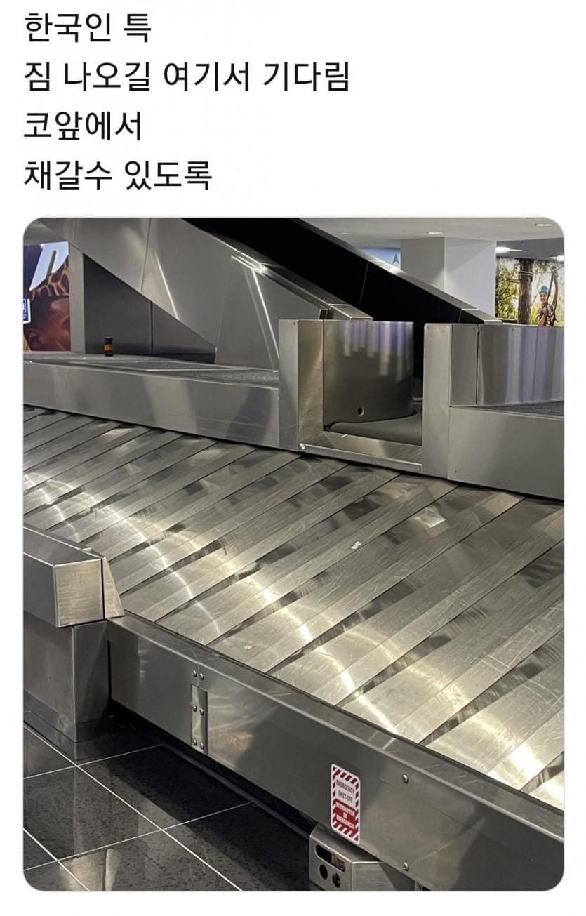 공항에서 한국인 특…