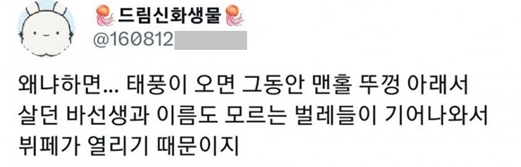 까마귀들이 맨홀뚜껑마다 모여있는 이유.jpg