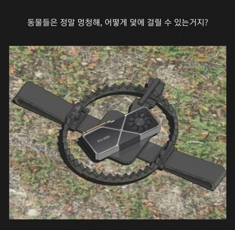 동물이 덫에 걸리는 이유