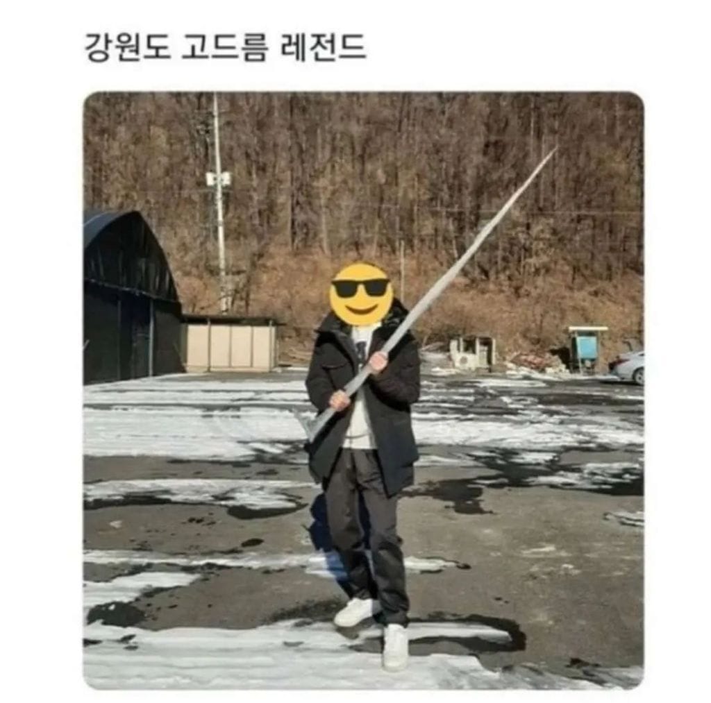 강원도 고드름 레전드