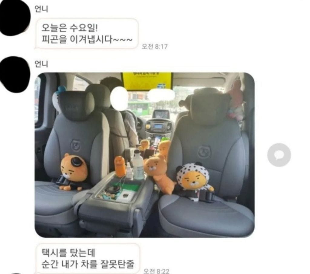 카카오택시인게 너무나 즐거운 라이언덕후 기사님